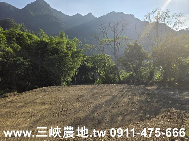 三峽農地-8
