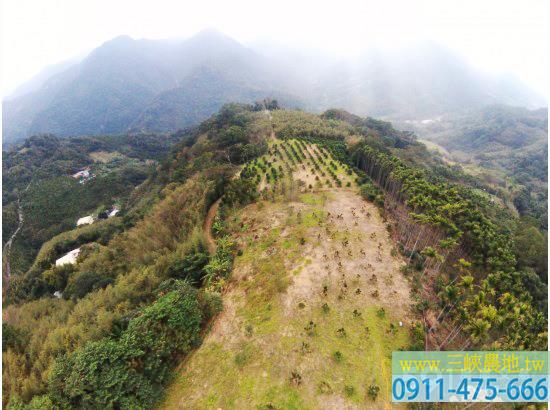 新北三峽農地-4