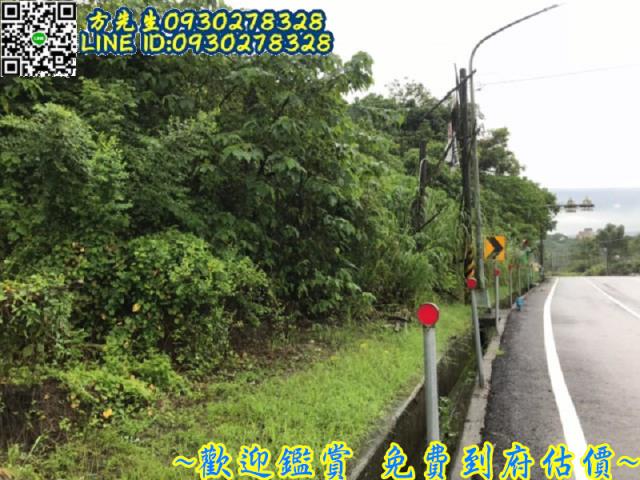 台南農地-5