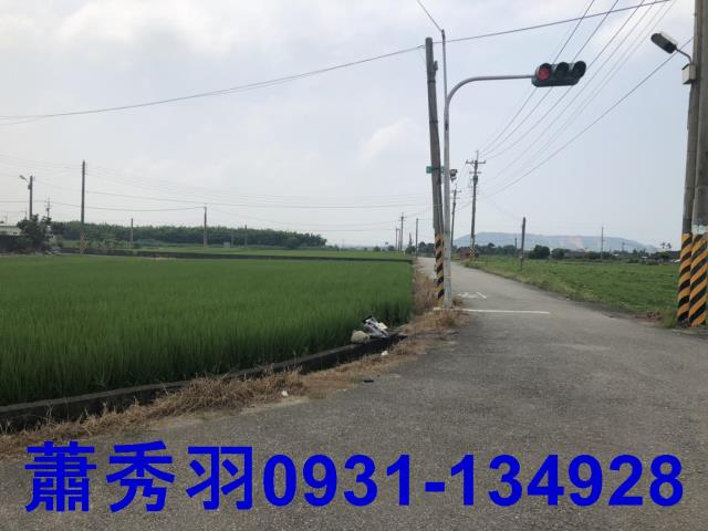 苗栗苑裡農地-2