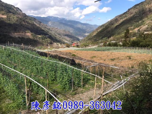 南投信義鄉休閒地-1