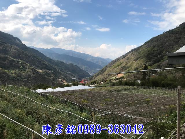 南投信義鄉休閒地-3