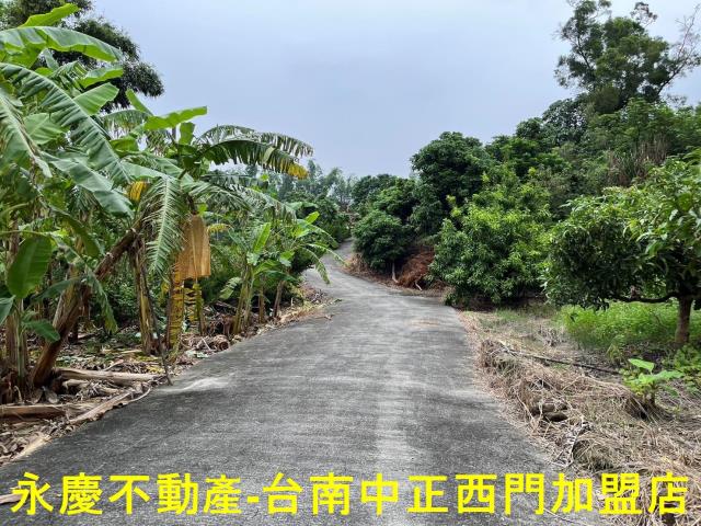 南化農地-11