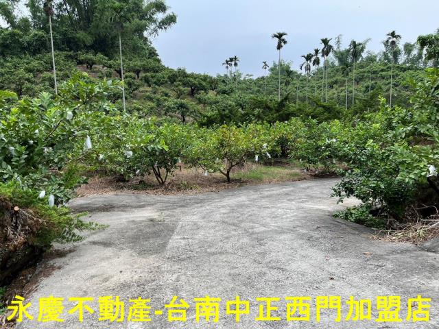 南化農地-8