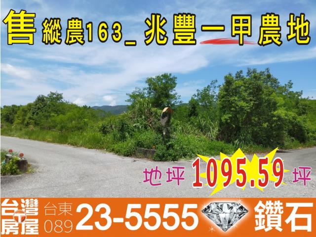 鳳林農地-1
