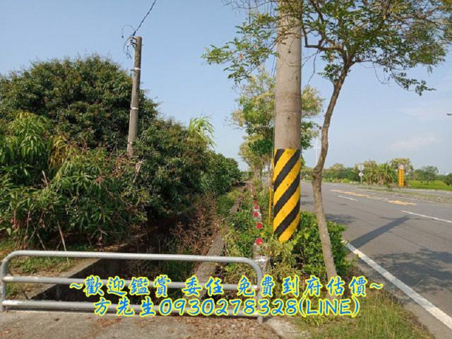 台南農地-5