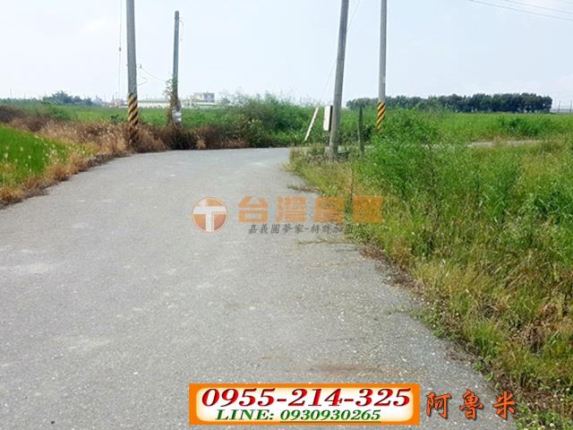 水林農地-5