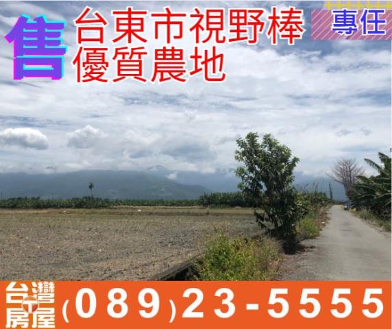 台東市視野棒優質農地