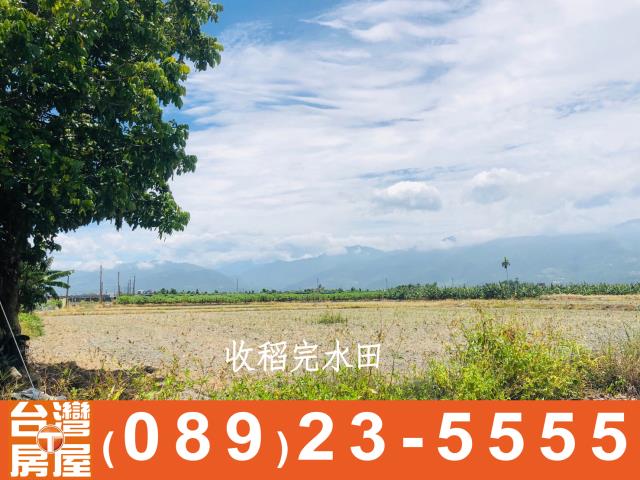 鑽石台東房地產買賣