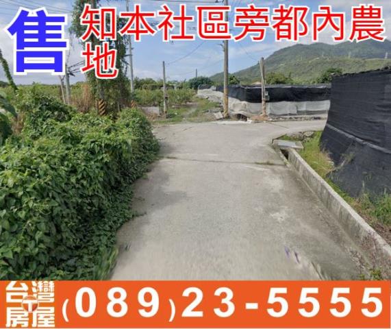 知本社區旁都內農地