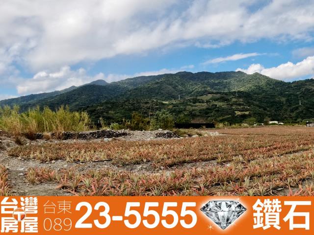 台東市農地-12