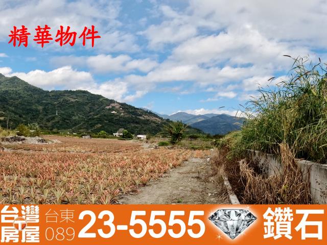台東台灣房屋