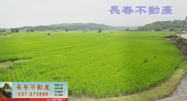 西湖農地-1