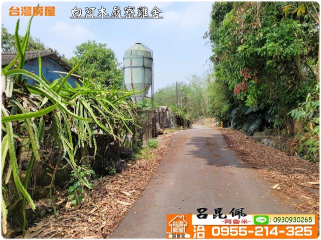 台南雞舍-5