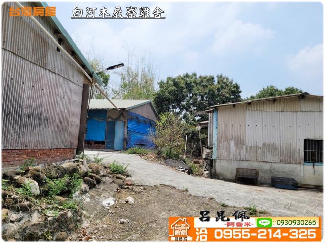 台南雞舍-7