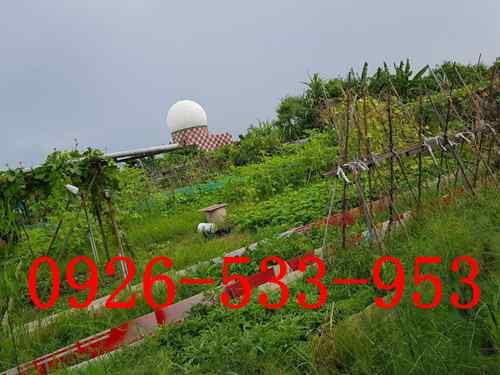 高雄小港農地-3