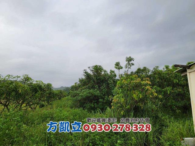 台南農地-2