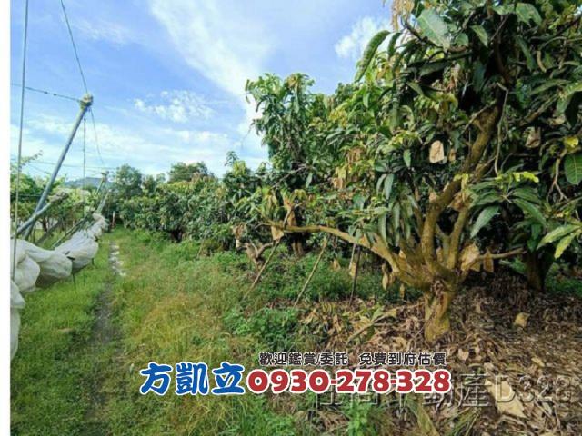 台南玉井農地-2