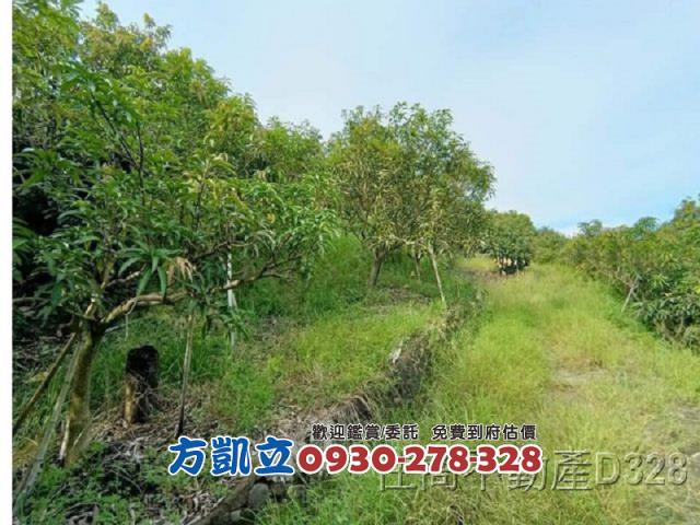 台南玉井農地-4