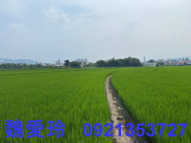南投草屯農地-1