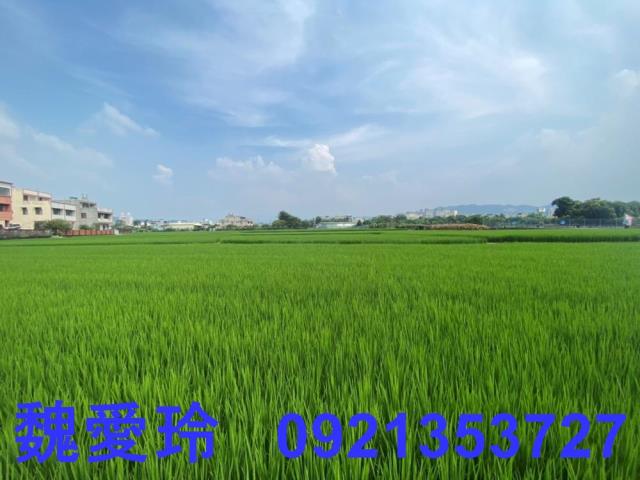 南投草屯農地-2