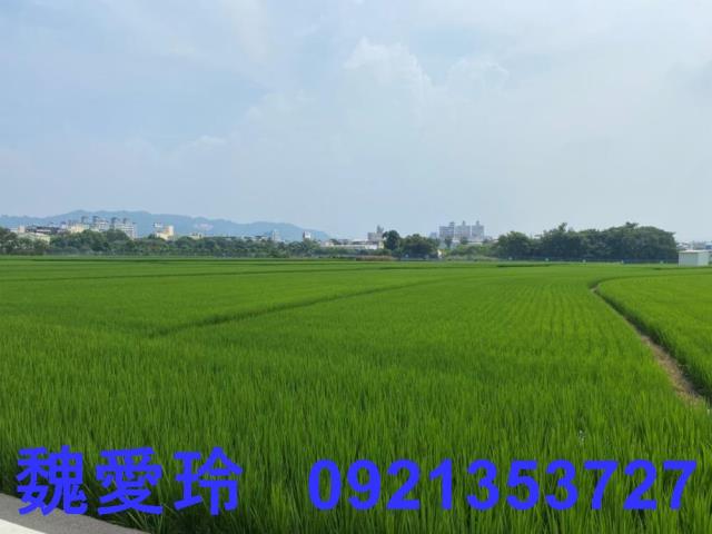 南投草屯農地-9