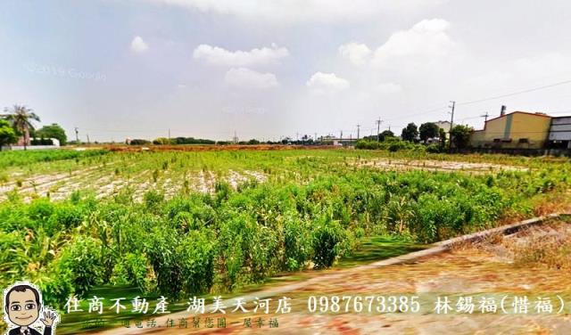 鹽水農地-7