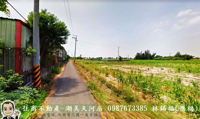 鹽水農地-9