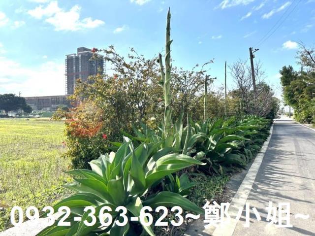 桃園楊梅農地-5