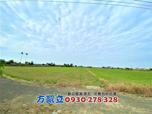 台南善化農地-10