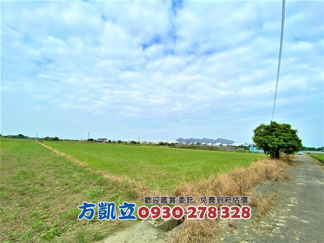 台南善化農地-2