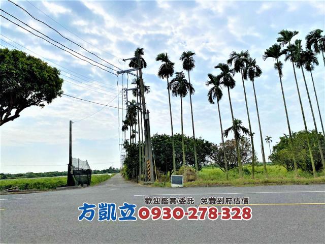 善化農地-6