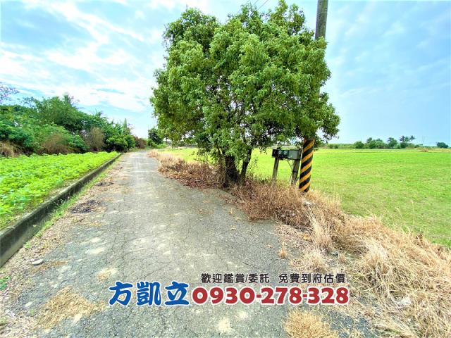 善化農地-8