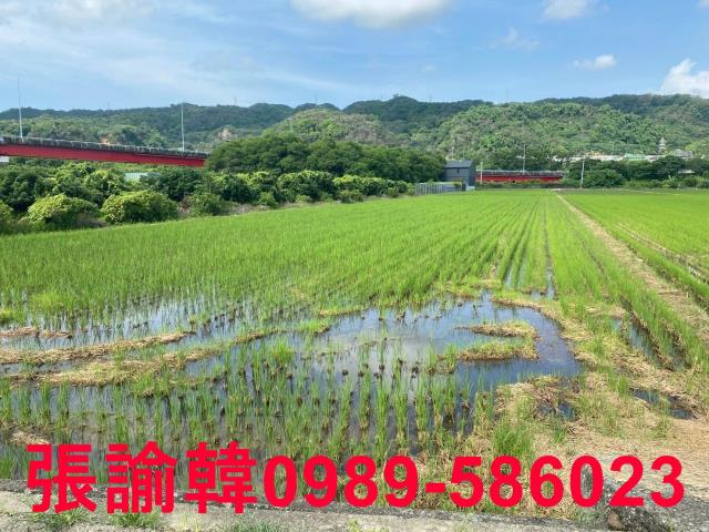 草屯農地-4