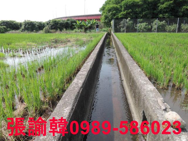 草屯農地-5