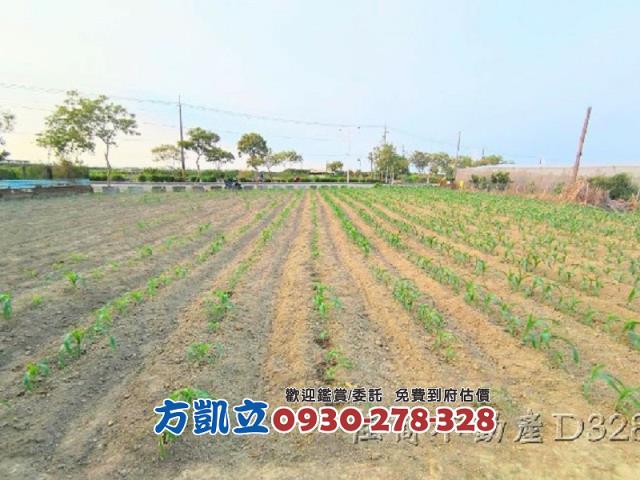麻豆農地-2