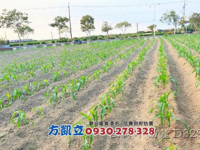 麻豆農地-3