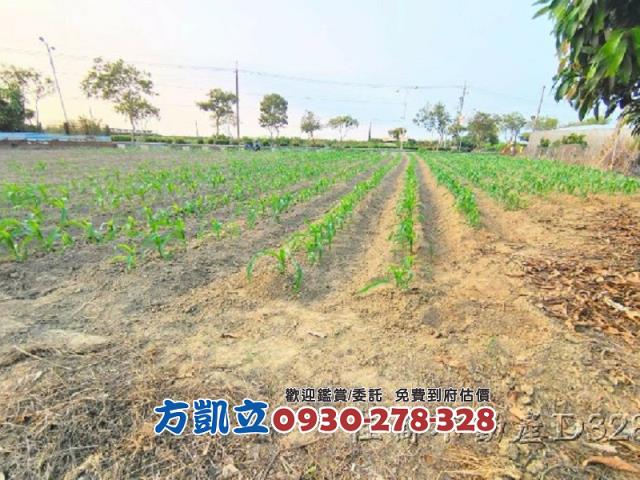 麻豆農地-4