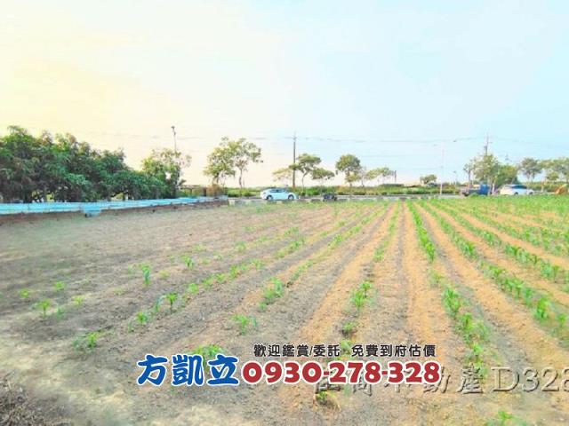 麻豆農地-5