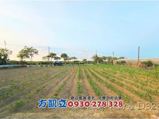 麻豆農地-6