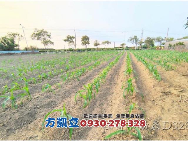麻豆農地-7