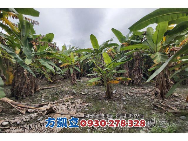 吉安農地-3