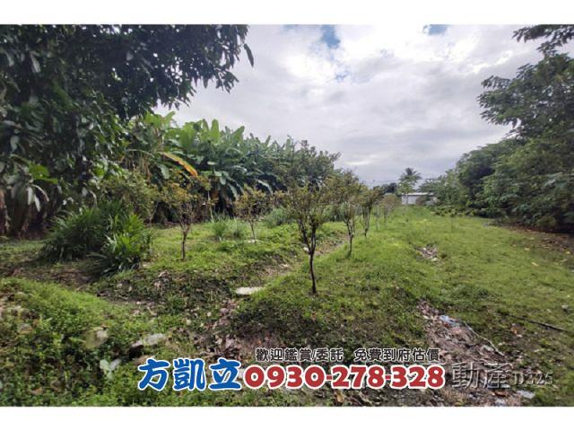 花蓮農地-2