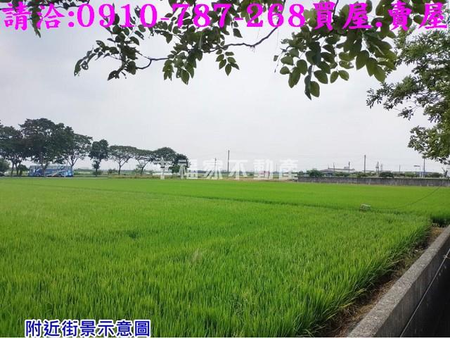 台南下營農地-2