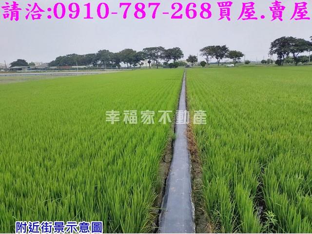 台南下營農地-3
