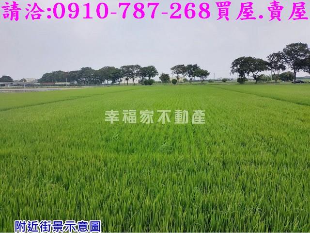 台南下營農地-4