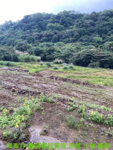 新北農地-5