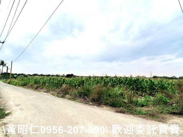 台南官田農地-5