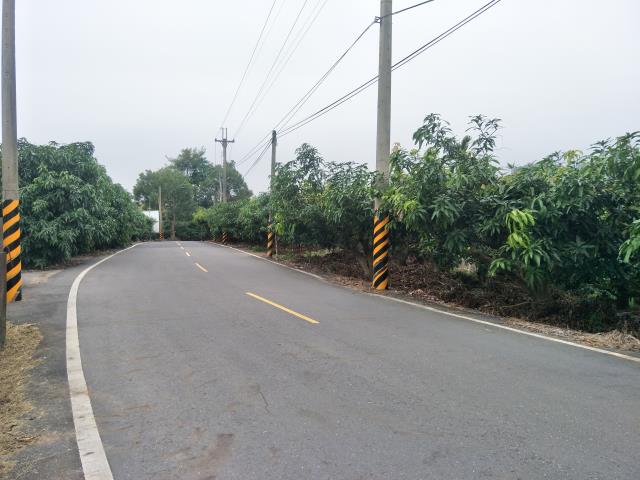 玉井農地-10