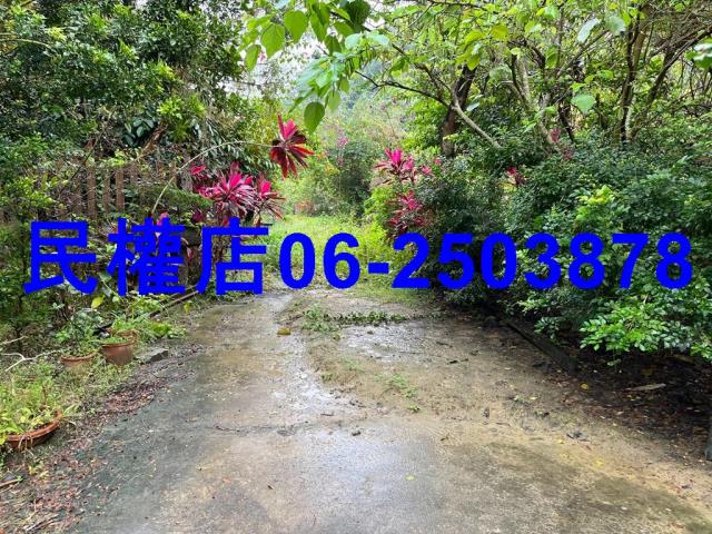 新化農地-4